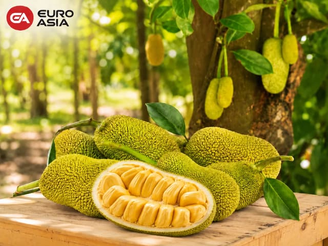 Cempedak