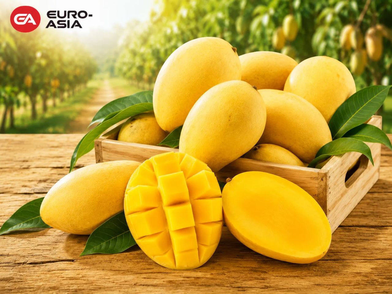 Yellow Cat-Chu Mango