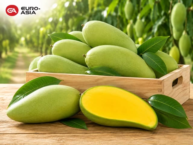 Kiev Savoy Mango