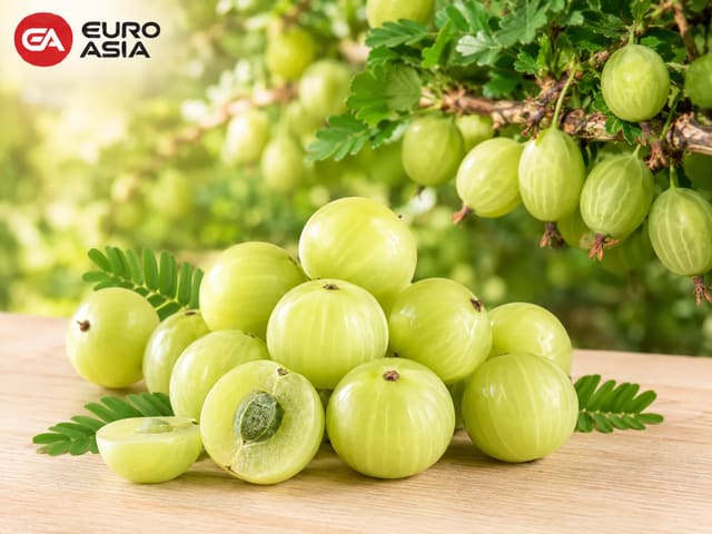 Gooseberry