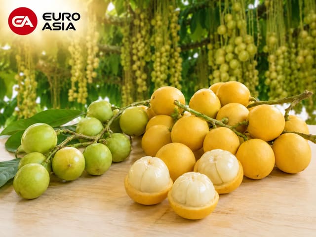 Rambai fruit green and yellow