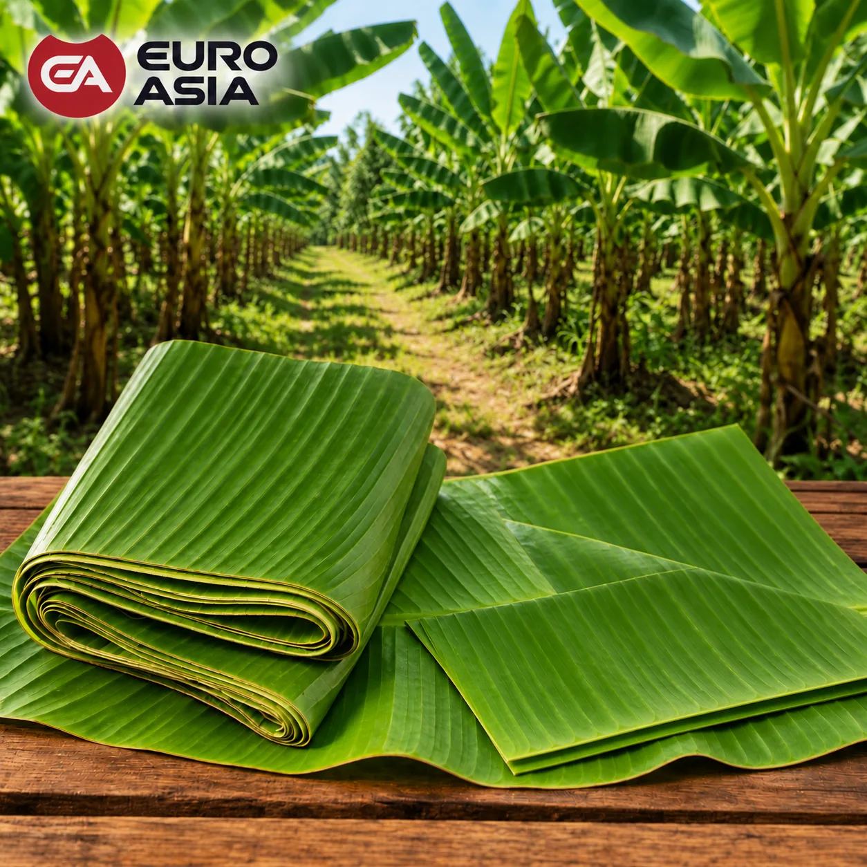 Banana leave