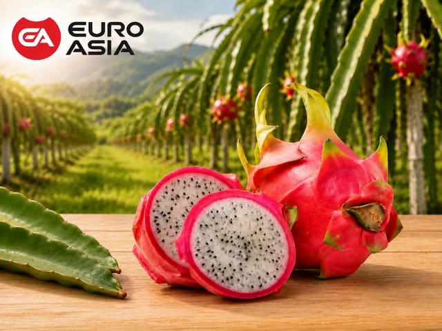 White Dragon Fruit