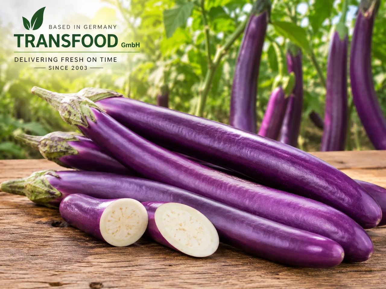 Chinese Eggplant (Fresh Chinese Aubergine / Chinese Slim Aubergine / Oriental Charm)