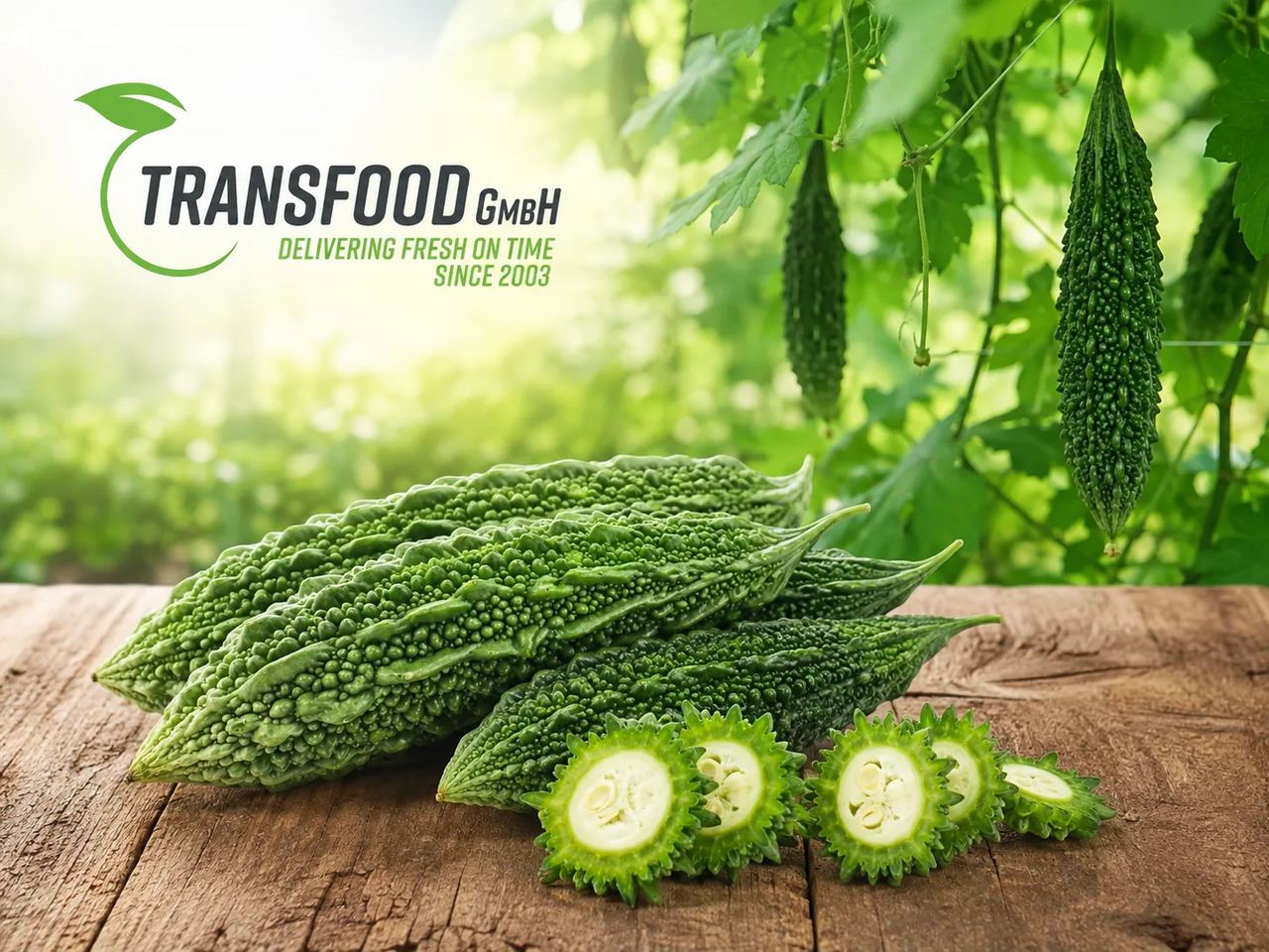 Karela (Fresh Indian Bittermelon / Bittergur / Sopropo / Bitter Gourd)