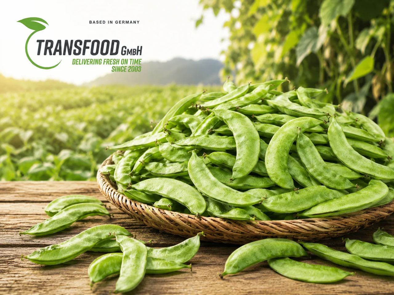 Wallor Beans (Fresh Indian Bread Beans / Valor Beans / Val Papdi / Sem Ki Phalli)