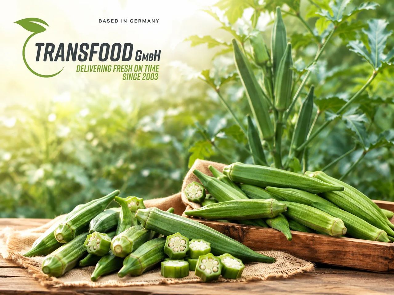 Okra (Fresh Okra / Lady's Finger / Bhindi)