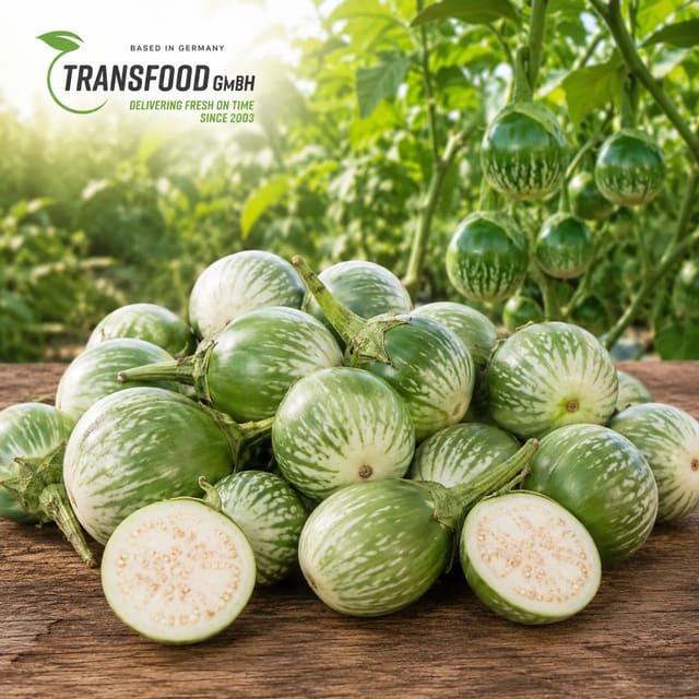 Thai Eggplant (Fresh Thai Mini Aubergins / Round Asian Aubergins / Ma-Khuea Phrao / มะเขือเปราะ)