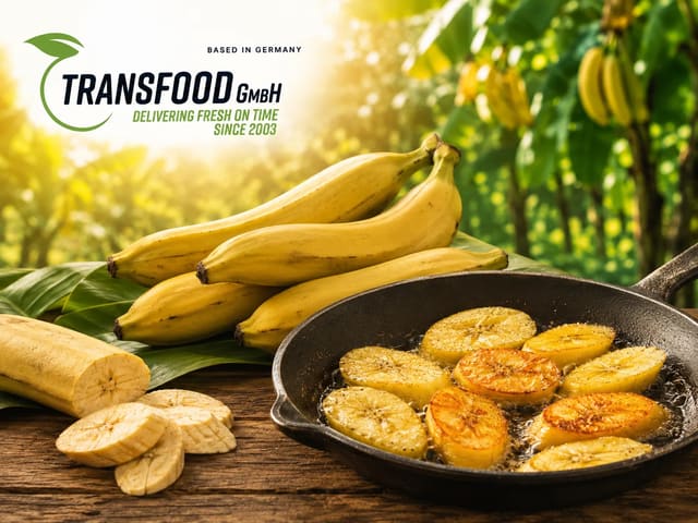 Yellow Plantain (yellow cooking bananas / ripe vegetable bananas / Plátano Maduro)