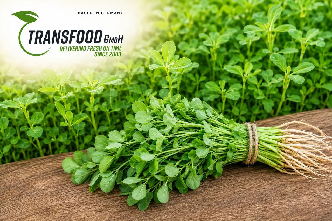 Fresh Methi (Fresh Bockshorn Leaves / Methi-Bund / Fenugreek Leaves)