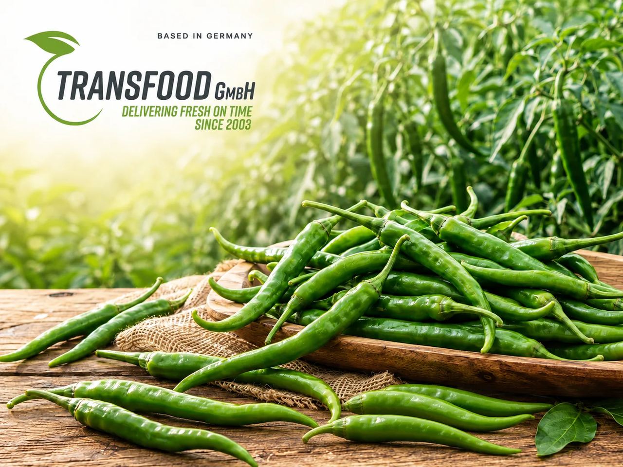 Green Chilli (Fresh Green Chili / Hari Mirch)