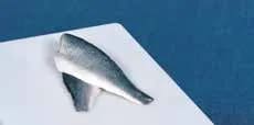 Seacon Sea Bass Fillets