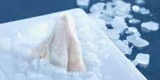 Seacon Alaska Pollock Fillets / Interleaved