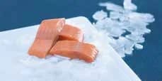 Seacon Wild Salmon Chum