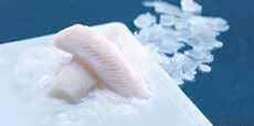 Seacon Tilapia Loin