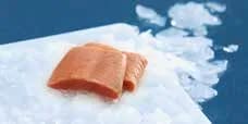 Seacon Wild Salmon Pink