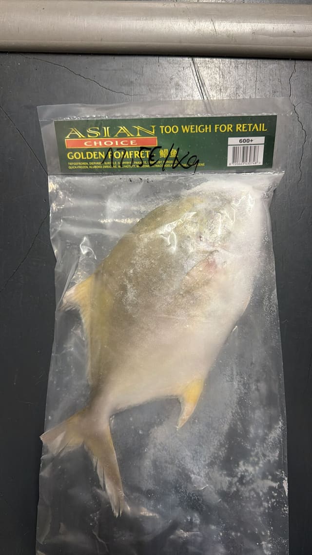 Golden pomfret