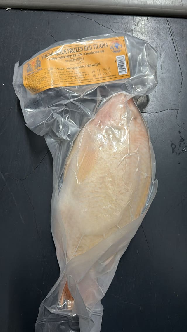 Red tilapia
