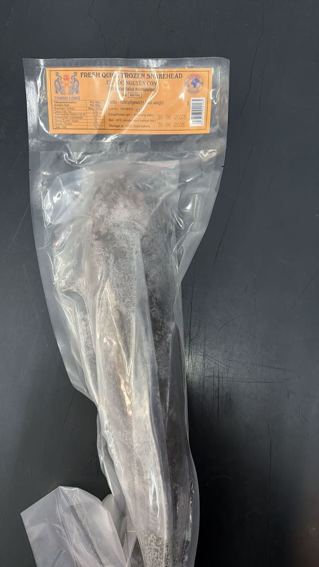 Frozen whole snakehead fish