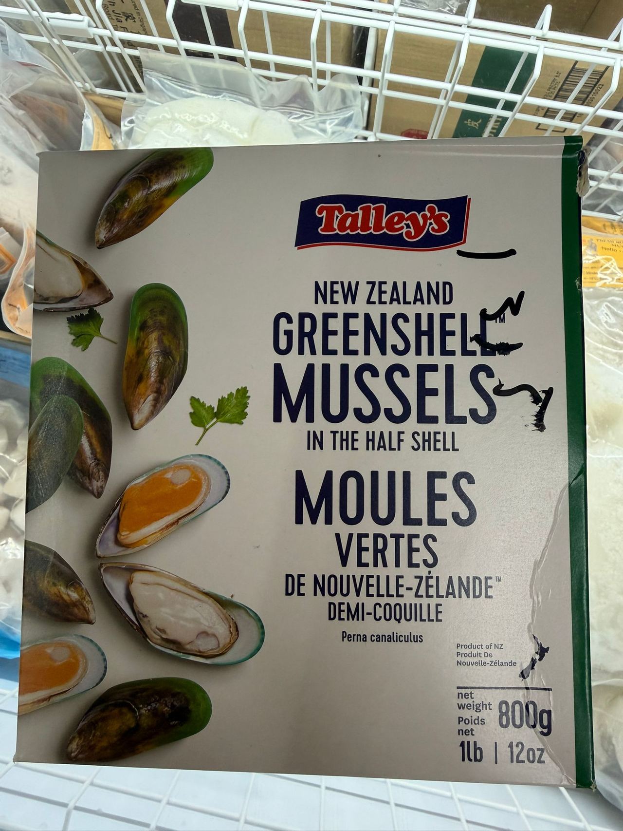 New Zealand green mussels