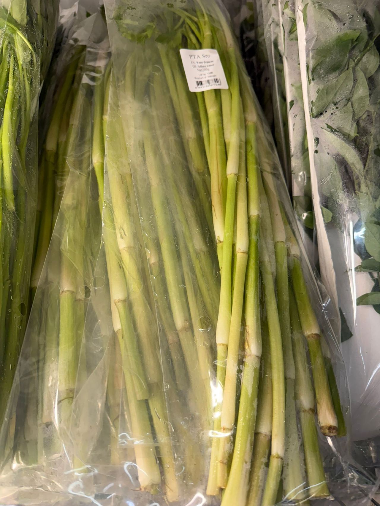 Vegetables need water