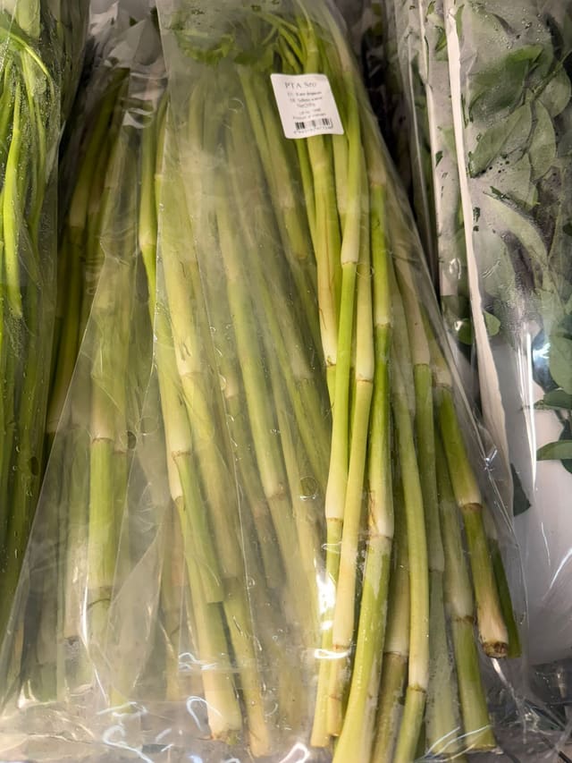 Vegetables need water