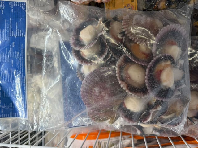 Frozen half shell scallops (scallop half shell)