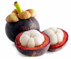Mangosteen