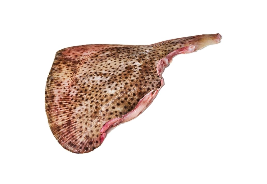Stingray wings
