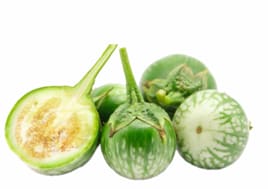 Green Thai eggplant