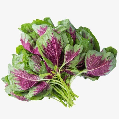 Red Amaranth (Hin Choi)